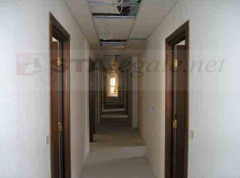 13348952_10209617045253143_155303499_n