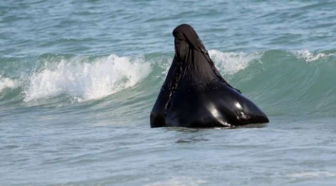 Esige di fare il bagno in piscina col burkini, cacciata: sinistra strilla al ‘razzismo”