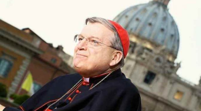 Cardinale guida rivolta contro Bergoglio LGBT: «Parole del Papa fuori dal Magistero, i vescovi chiariscano»