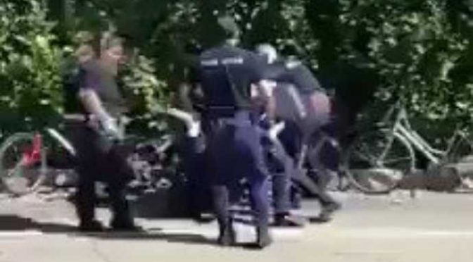Immigrato investe anziana e scappa, 6 agenti lo bloccano: buonista protesta – VIDEO