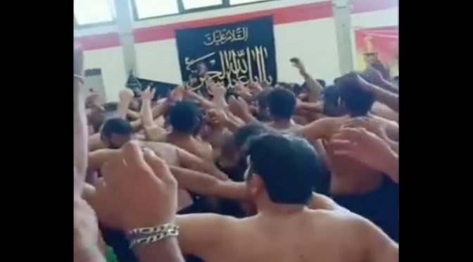 Bologna islamica: immigrati si fustigano nudi in nome di Maometto – VIDEO