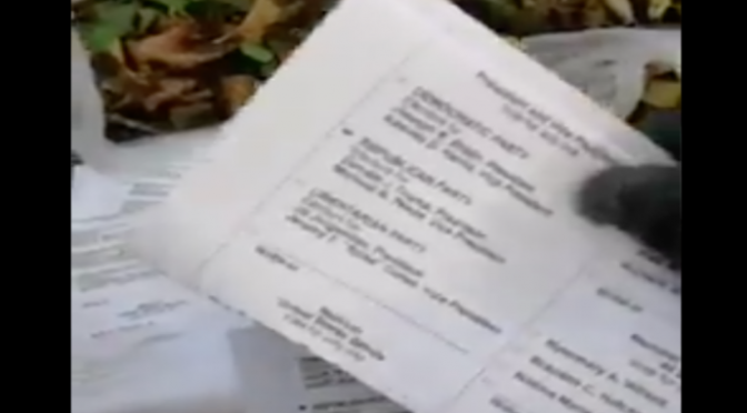 IL VIDEO CHE SCIOCCA L’AMERICA: BRUCIATE SCHEDE VOTI TRUMP – VIDEO