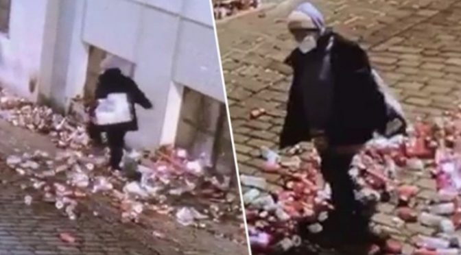 Migrante islamica distrugge memoriale a vittime del terrorista islamico a Vienna – VIDEO