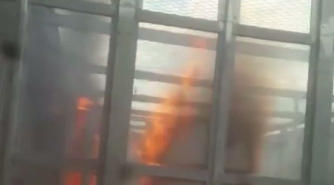 🚨IMMIGRATI INCENDIANO CENTRO ACCOGLIENZA: GUERRIGLIA A GORIZIA – VIDEO